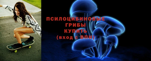 первитин Елабуга