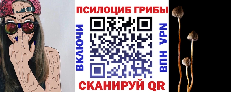 ОМГ ОМГ как войти  Кадников  Галлюциногенные грибы Cubensis 